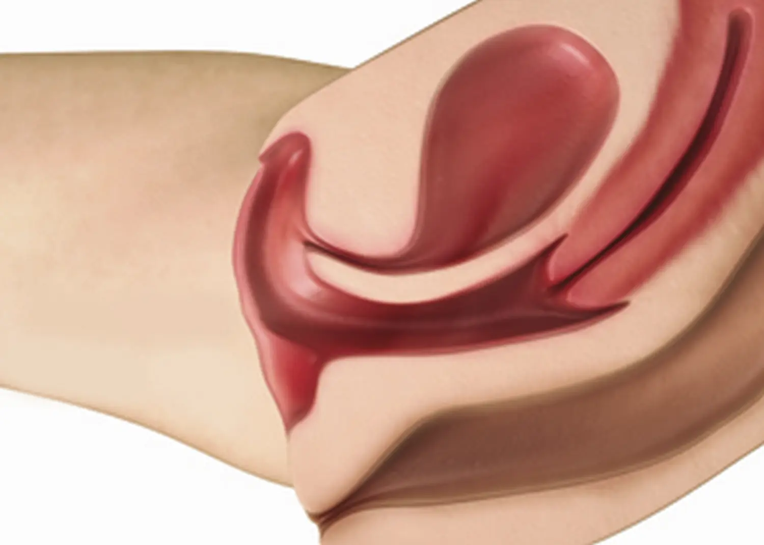  CO2RE Intima Behandlungerweiterter Vaginalkanal‍  von Gynpraxis Mitte